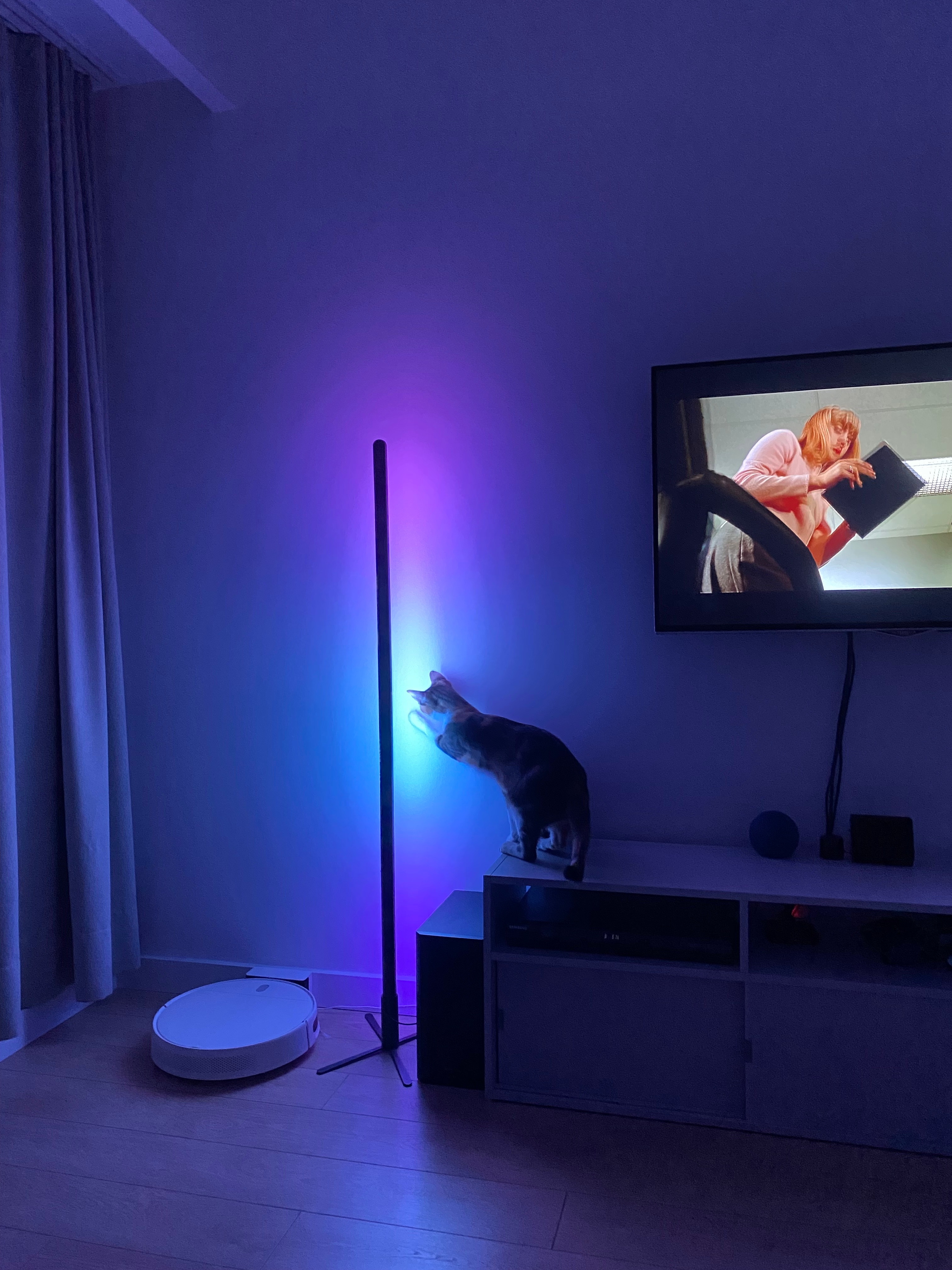 Customer scene: lamp by the TV and a curious cat